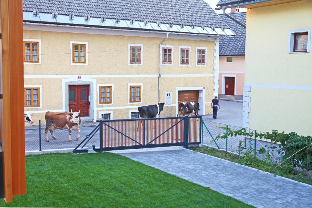 Apartment Jurijana - New 4-Bedroom Triplex With Sauna & Garden Bohinj Ngoại thất bức ảnh